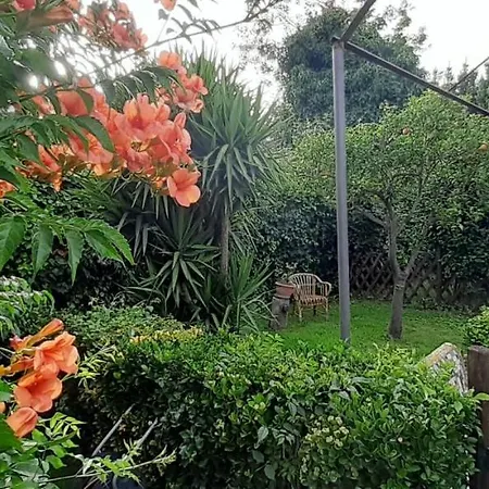 Il Giardino Degli Agrumi Holiday home