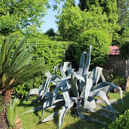 Il Giardino Degli Agrumi * Caserta