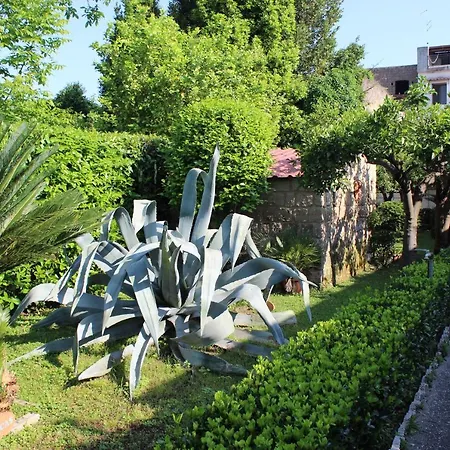 Il Giardino Degli Agrumi Holiday home *
