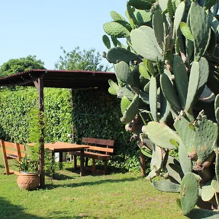 Il Giardino Degli Agrumi 度假居 卡塞塔