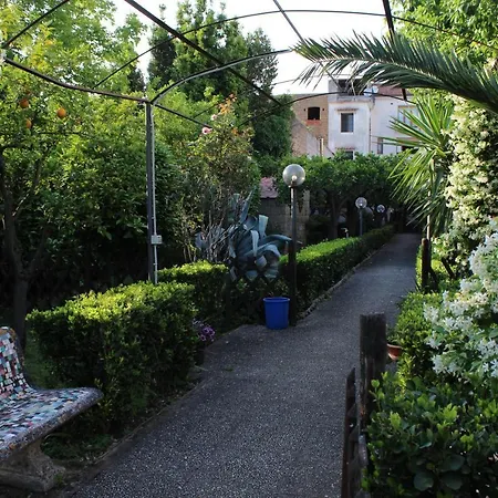 Il Giardino Degli Agrumi *