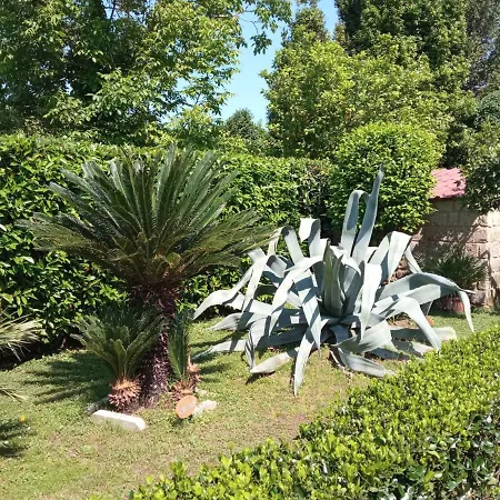 Holiday home Il Giardino Degli Agrumi *