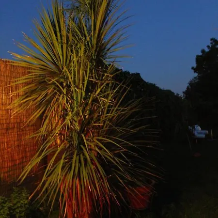 Il Giardino Degli Agrumi Casa vacanze Caserta