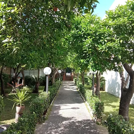 Il Giardino Degli Agrumi *