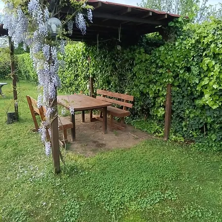 度假居 Il Giardino Degli Agrumi