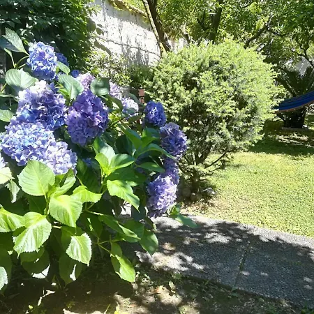 Il Giardino Degli Agrumi 度假居 卡塞塔