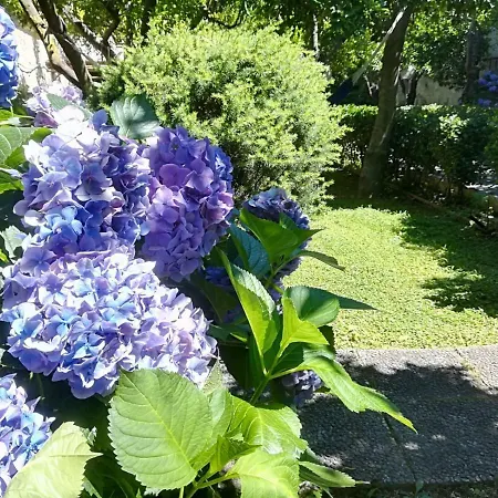 Il Giardino Degli Agrumi Caserta
